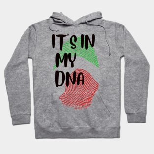 It's In My DNA Mexican Flag Hoodie